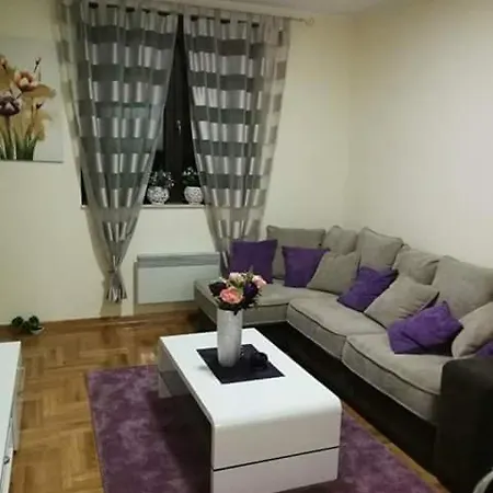 2018 I Wellness * זלאטיבור