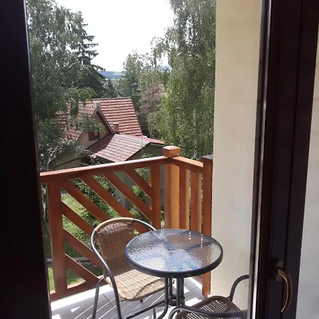 2018 I Wellness זלאטיבור