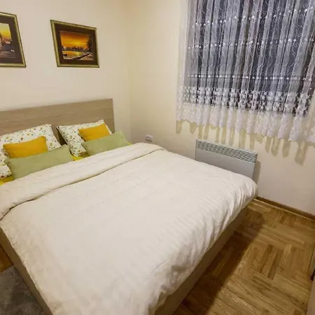 2018 I Wellness זלאטיבור